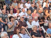 Publiczność podczas koncertu w Amfiteatrze.