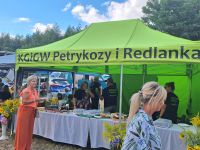 Namiot ze swojskim jadłem rozstawiony na placu podczas Odpustu na Świętego Rocha w Lutkówce.