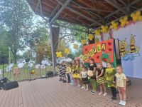 Konkurs na najładniejsze przebranie podczas Mszczonowskiego Dnia Pszczoły.