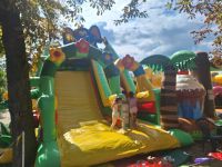 Dmuchańce podczas Mszczonowskiego Dnia Pszczoły.