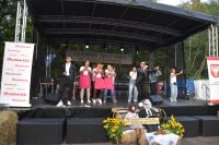 Występ zespołu muzycznego, na scenie też reprezentacja publiczności.