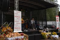 Występ zespołu muzycznego.