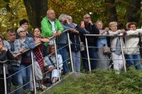 Publiczność przy barierkach podczas koncertu w Amfiteatrze.