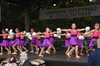 Występ zespołu akrobatycznego Fresh na scenie.